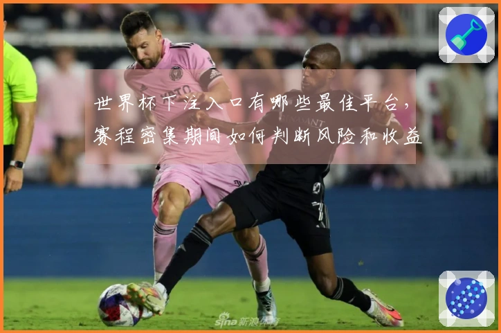 世界杯下注入口有哪些最佳平台，赛程密集期间如何判断风险和收益