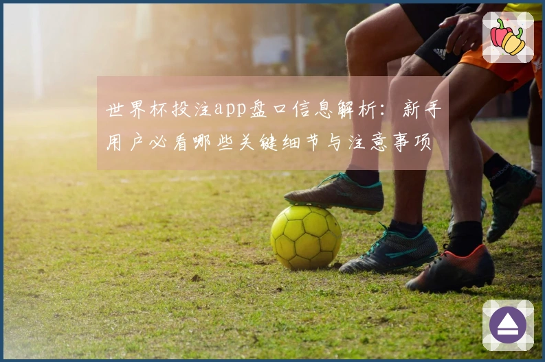世界杯投注app盘口信息解析：新手用户必看哪些关键细节与注意事项
