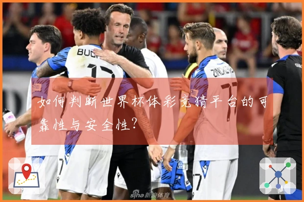 如何判断世界杯体彩竞猜平台的可靠性与安全性？