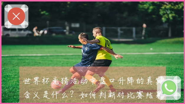 世界杯竞猜活动中盘口升降的真实含义是什么？如何判断对比赛结果的影响？