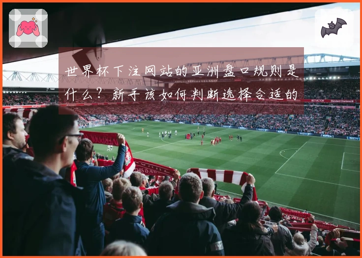 世界杯下注网站的亚洲盘口规则是什么？新手该如何判断选择合适的平台？