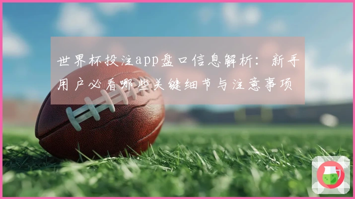 世界杯投注app盘口信息解析：新手用户必看哪些关键细节与注意事项
