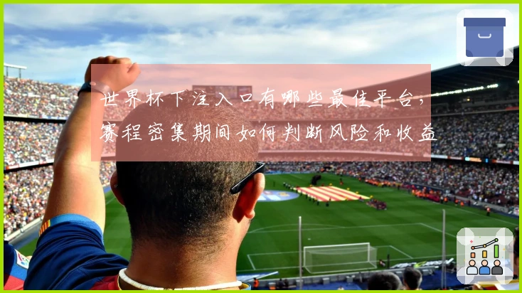 世界杯下注入口有哪些最佳平台，赛程密集期间如何判断风险和收益