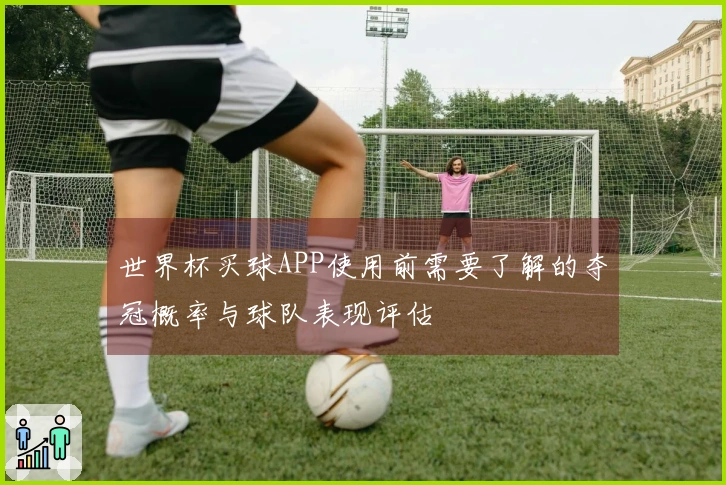 世界杯买球APP使用前需要了解的夺冠概率与球队表现评估